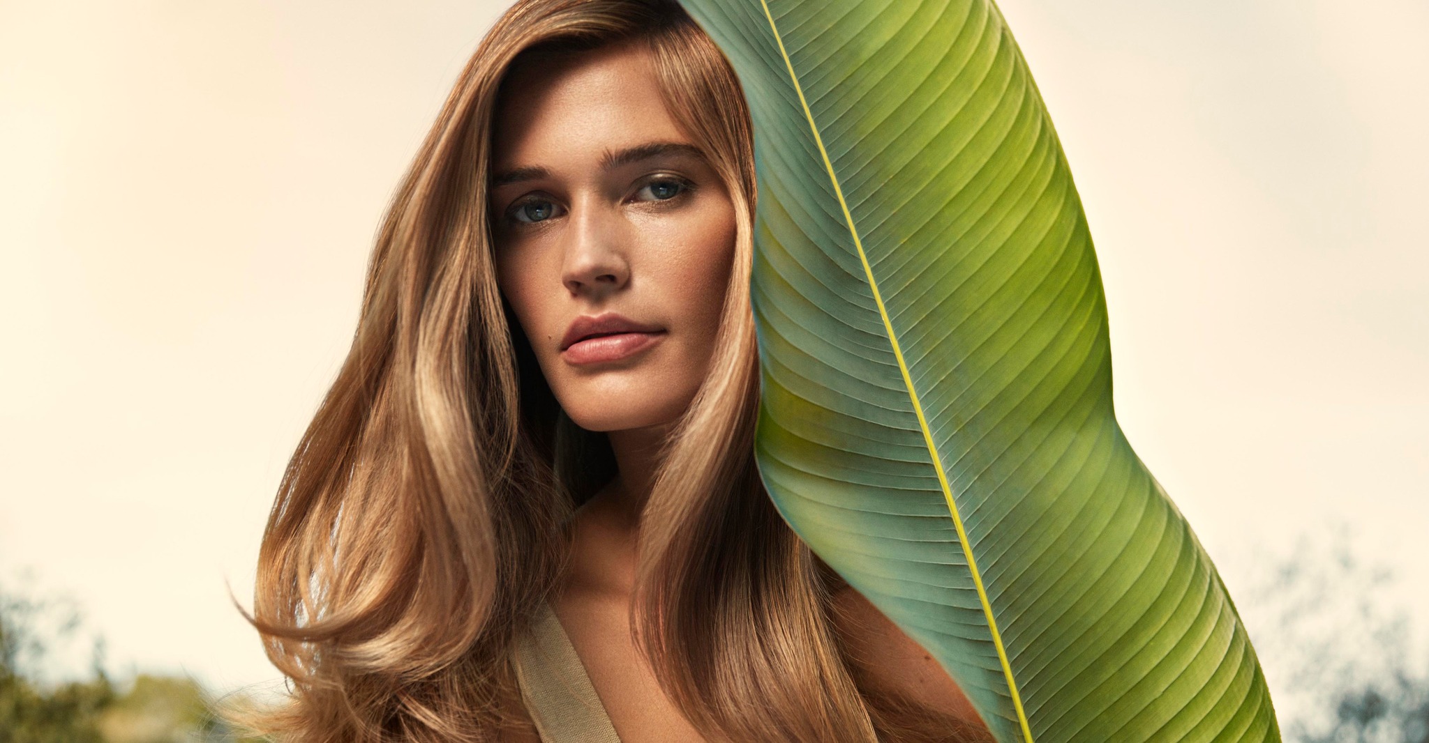 Joshua Tree - Aveda Lifestyle Salon & Spa Facebook ad: Looking for a fresh style, expert colour, or…
