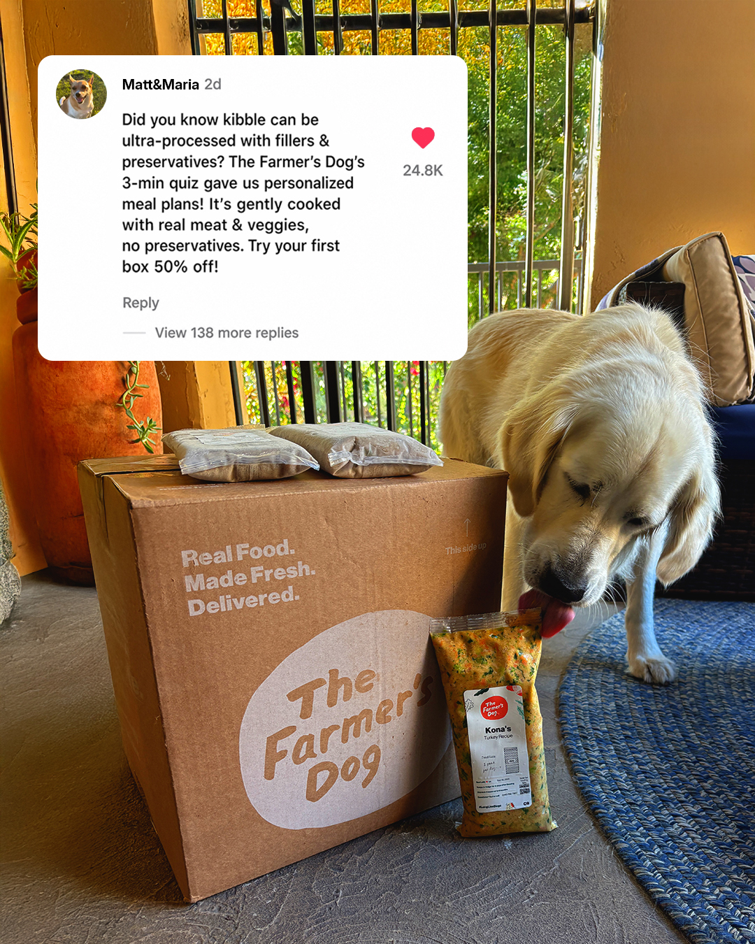 Dog Wellness Dispatch Facebook ad