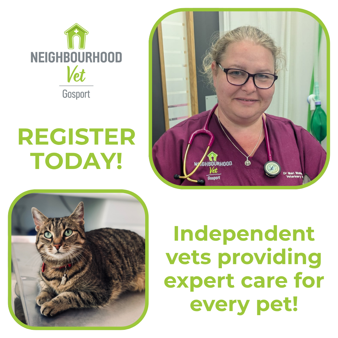 Neighbourhood Vet Gosport Facebook ad