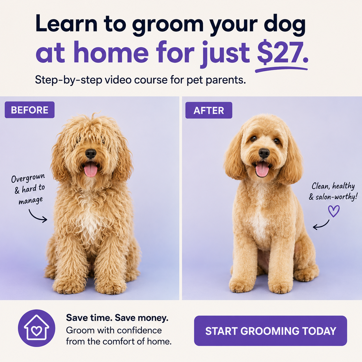 Shelley The Dog Groomer Facebook ad