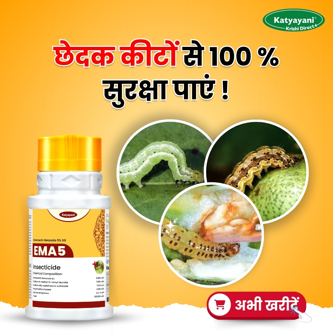 Katyayani Organics Facebook ad