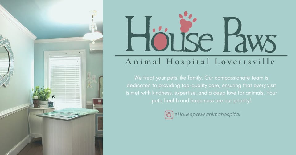 House Paws Animal Hospital Lovettsville Facebook ad: House Paws Animal Hospital Lovettsville is full service…