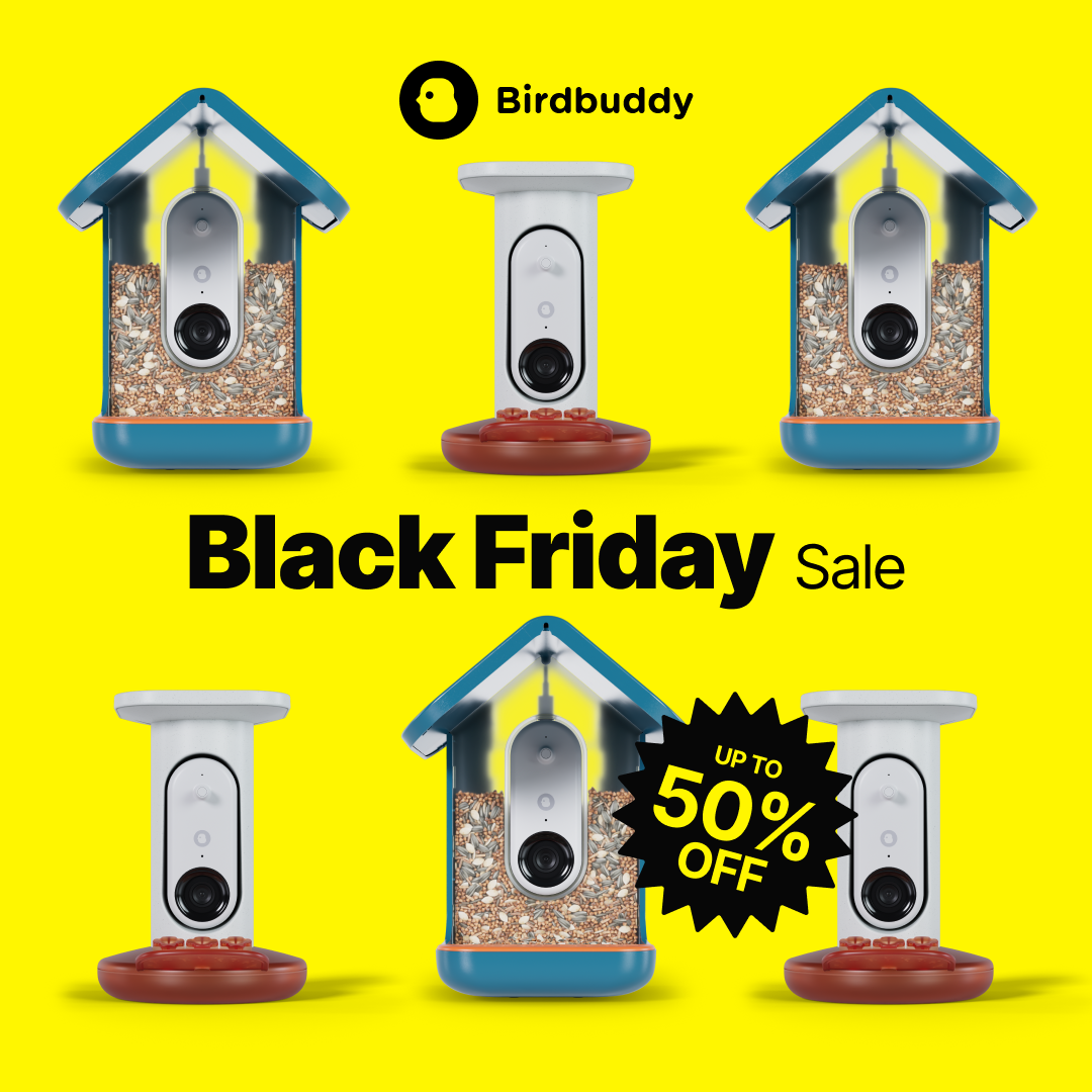 Birdbuddy Facebook ad