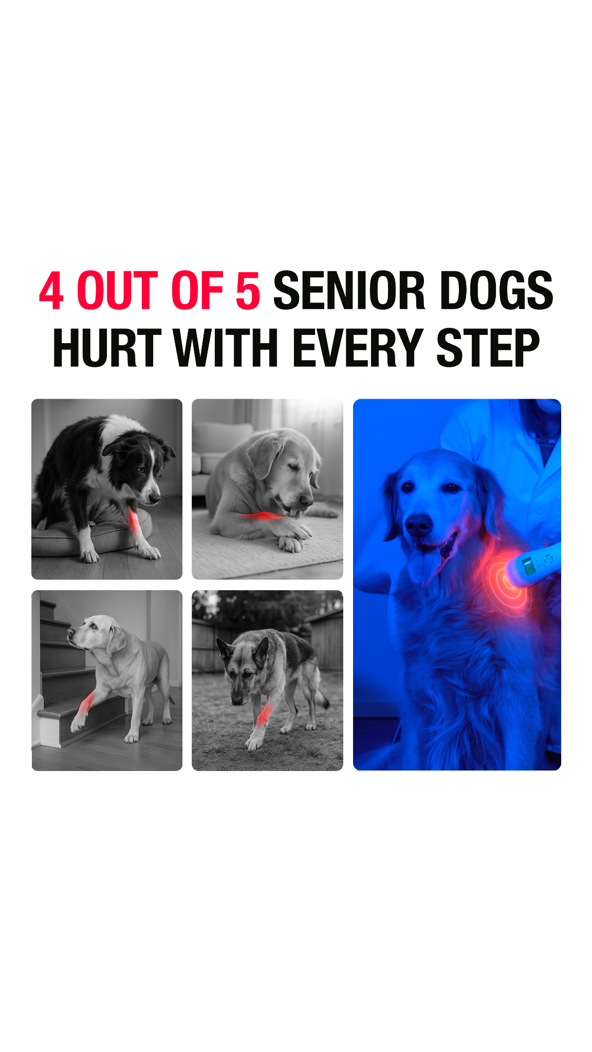 Helio Pet Facebook ad