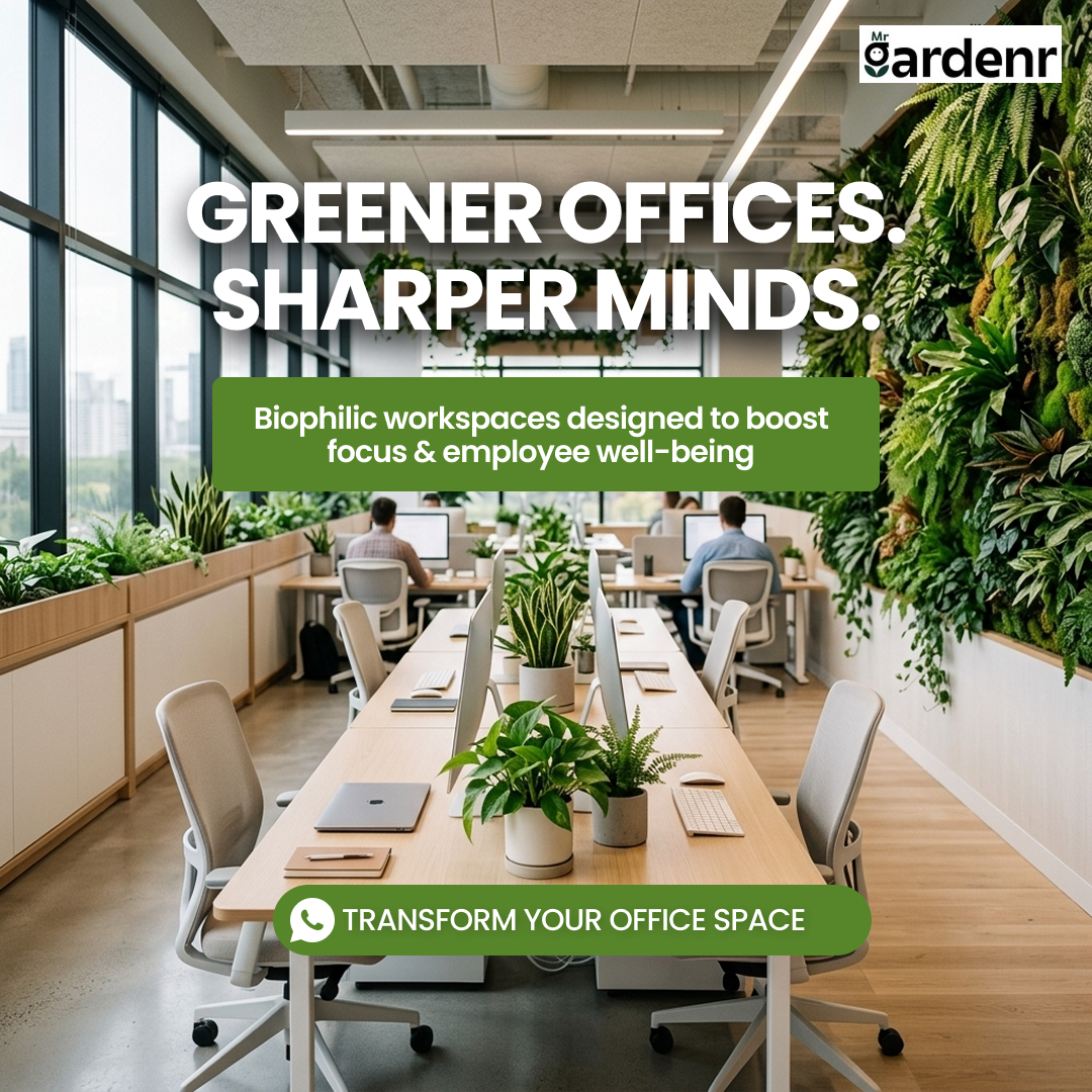 Mr Gardenr Facebook ad: Upgrade Your Workspace