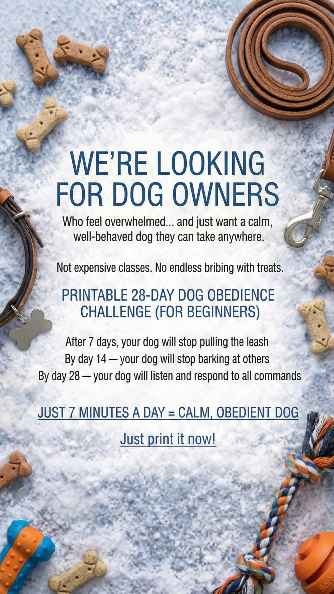 28 Day Dog Obedience Challenge Facebook ad