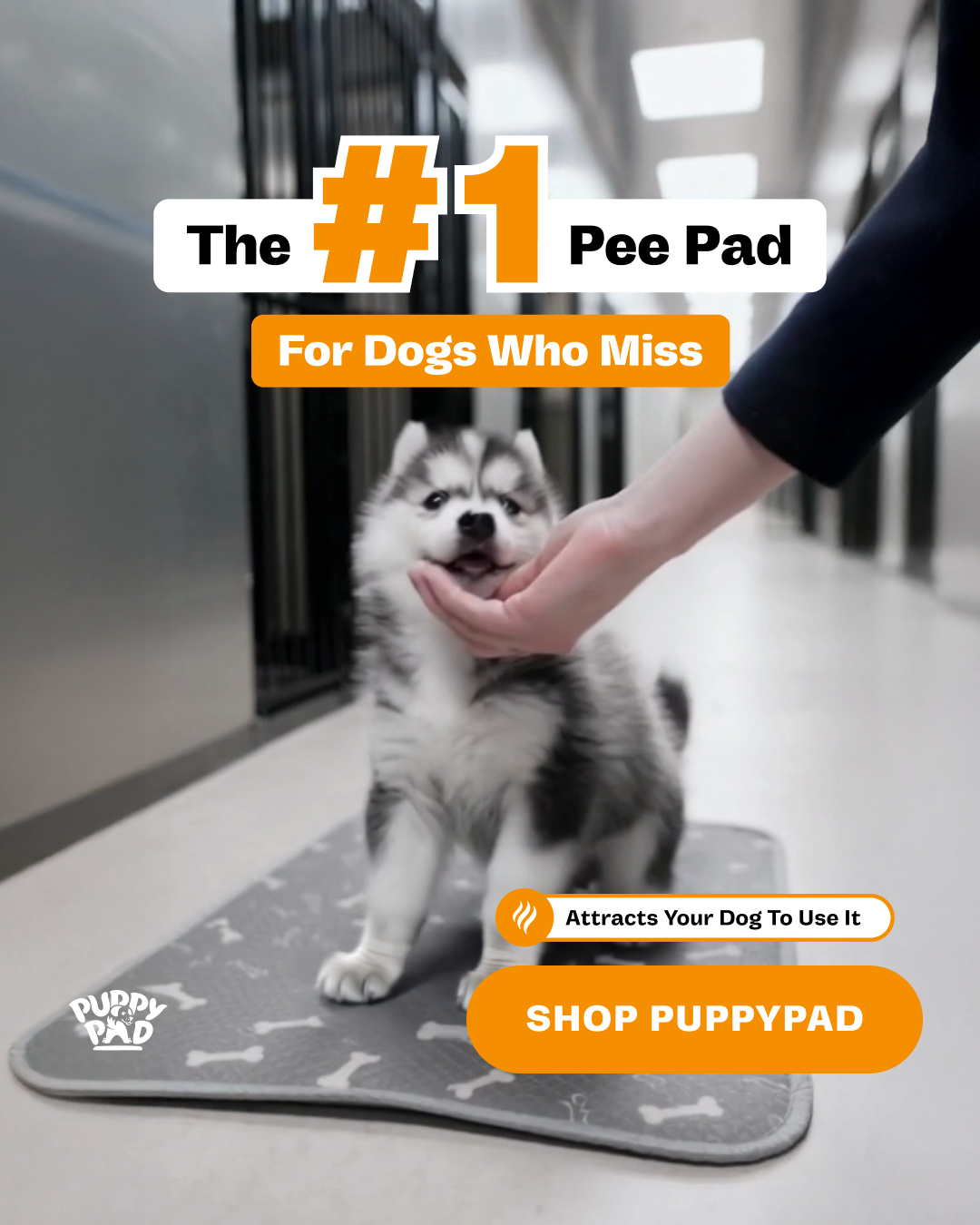 PuppyPad Facebook ad