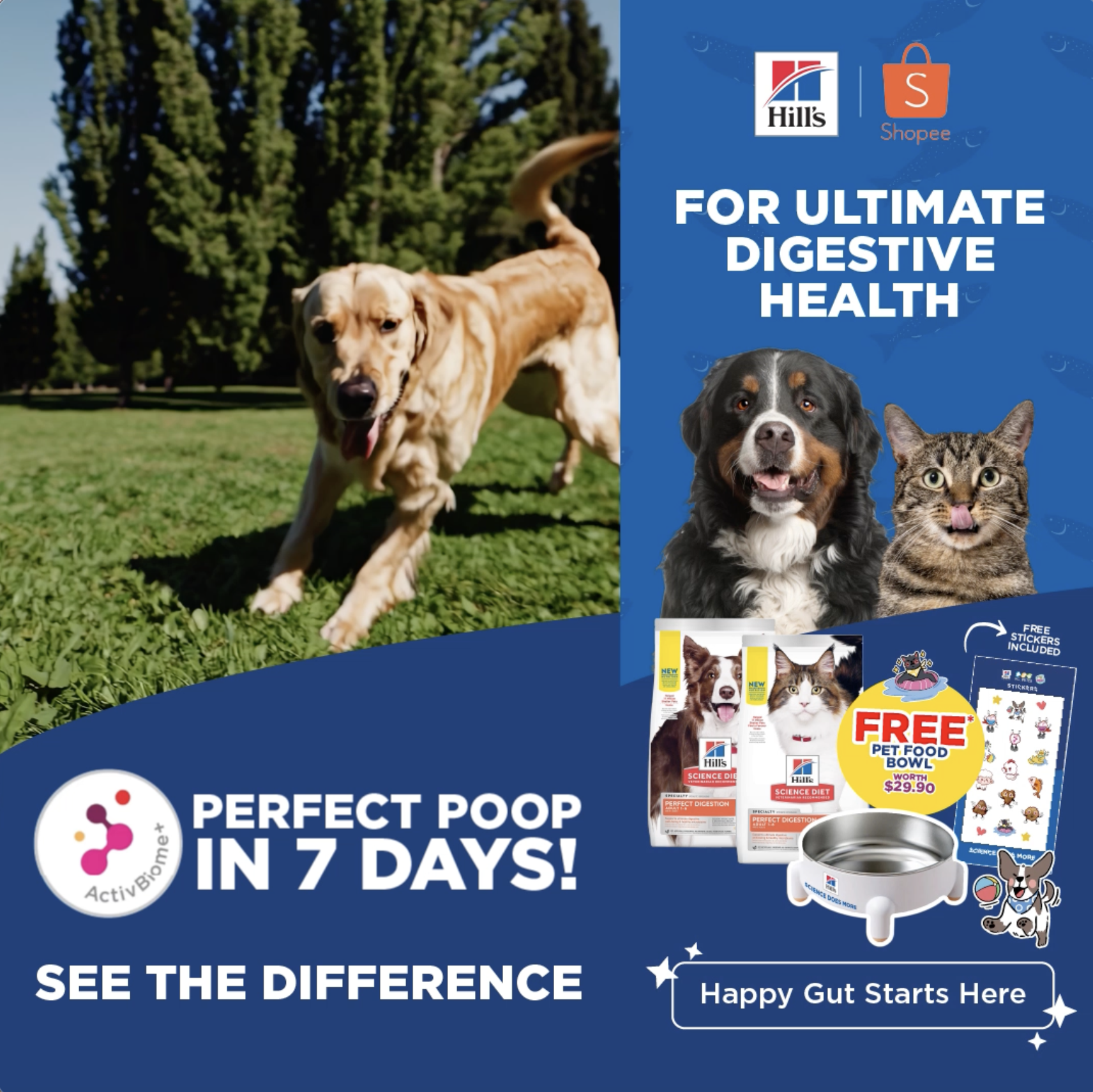 Hill's Pet Nutrition Singapore Facebook ad from Jun 3, 2026