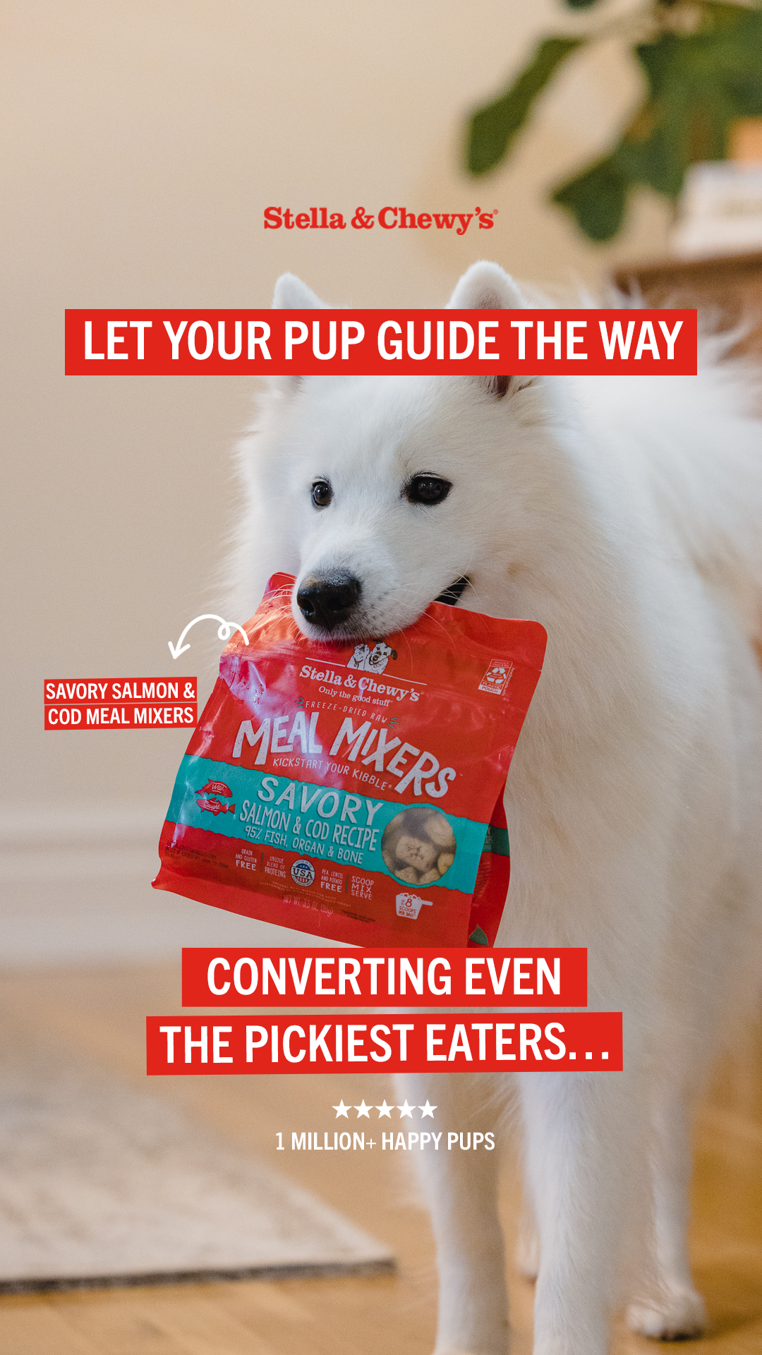 Stella & Chewy's Facebook ad