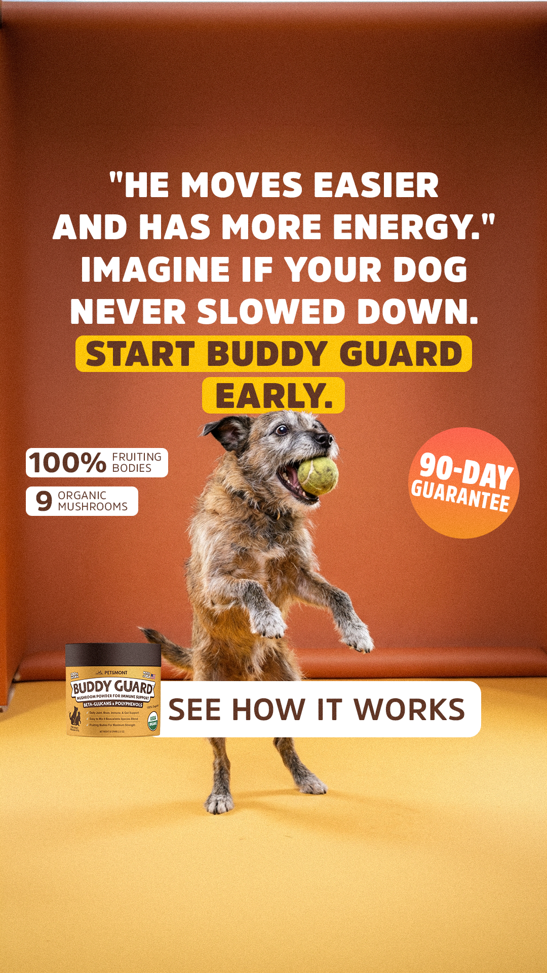 Well Pup Life Facebook ad