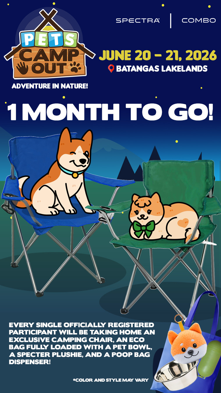 Boehringer Ingelheim Pets PH Facebook ad: Can you believe it?
