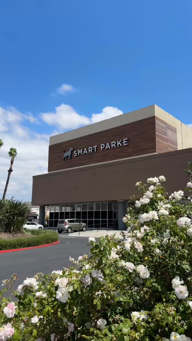 Smart Parke Facebook ad: Going on Vacay? Treat Your Dog to a Happy Stay!