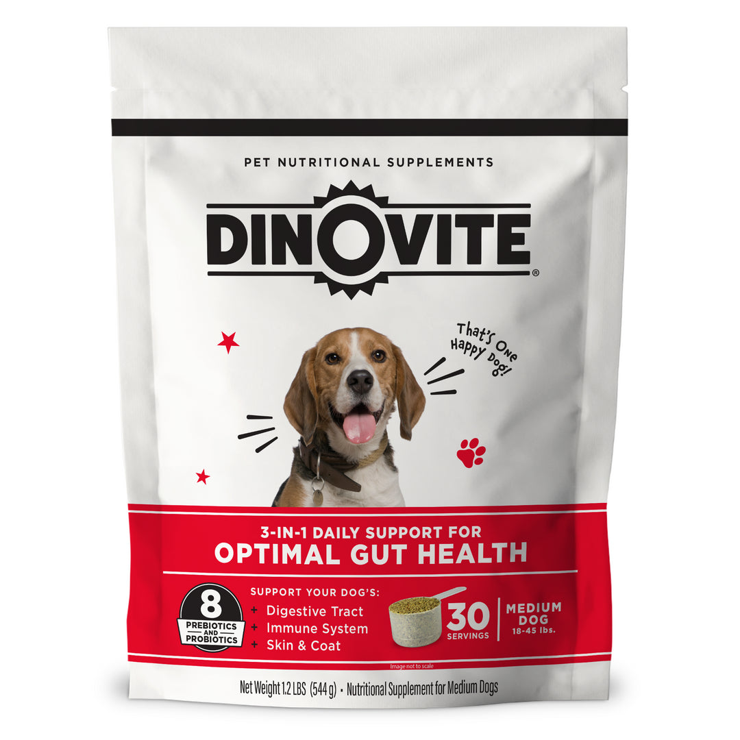 Dinovite.com Facebook ad