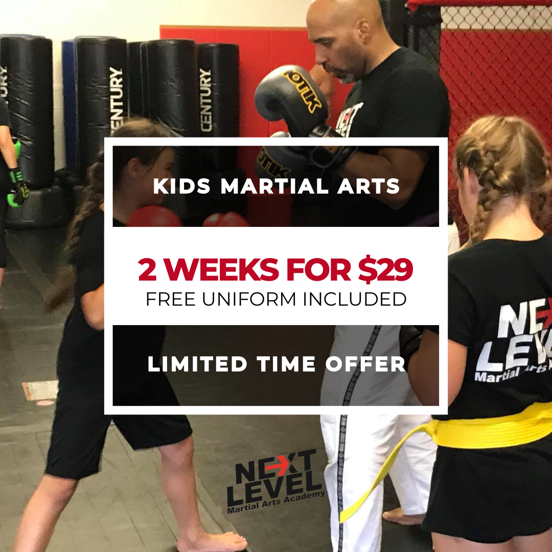 Next Level Martial Arts Facebook ad