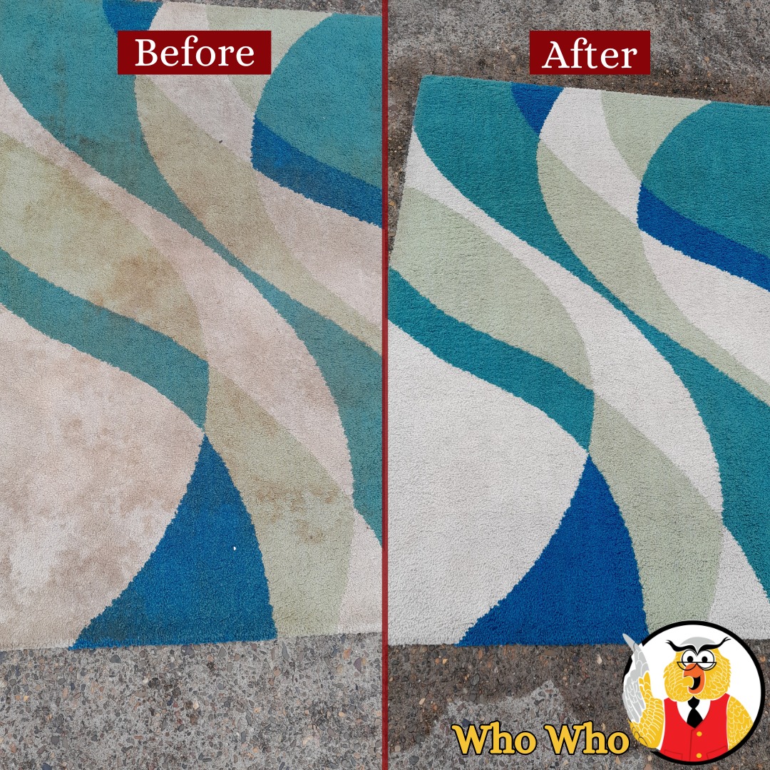 Who Who Carpet Cleaning & Pest Management Facebook ad