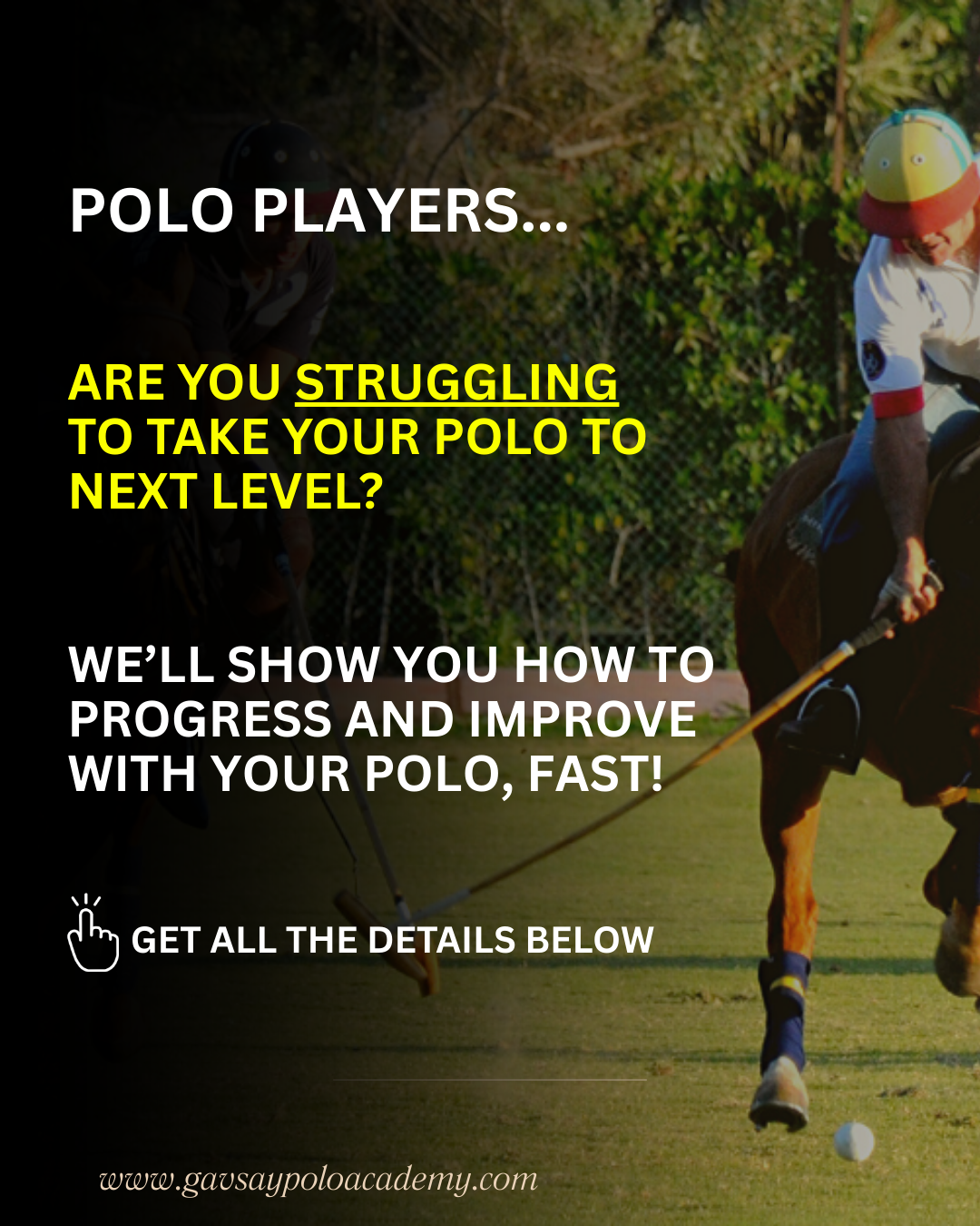 GavSays Polo Academy Facebook ad