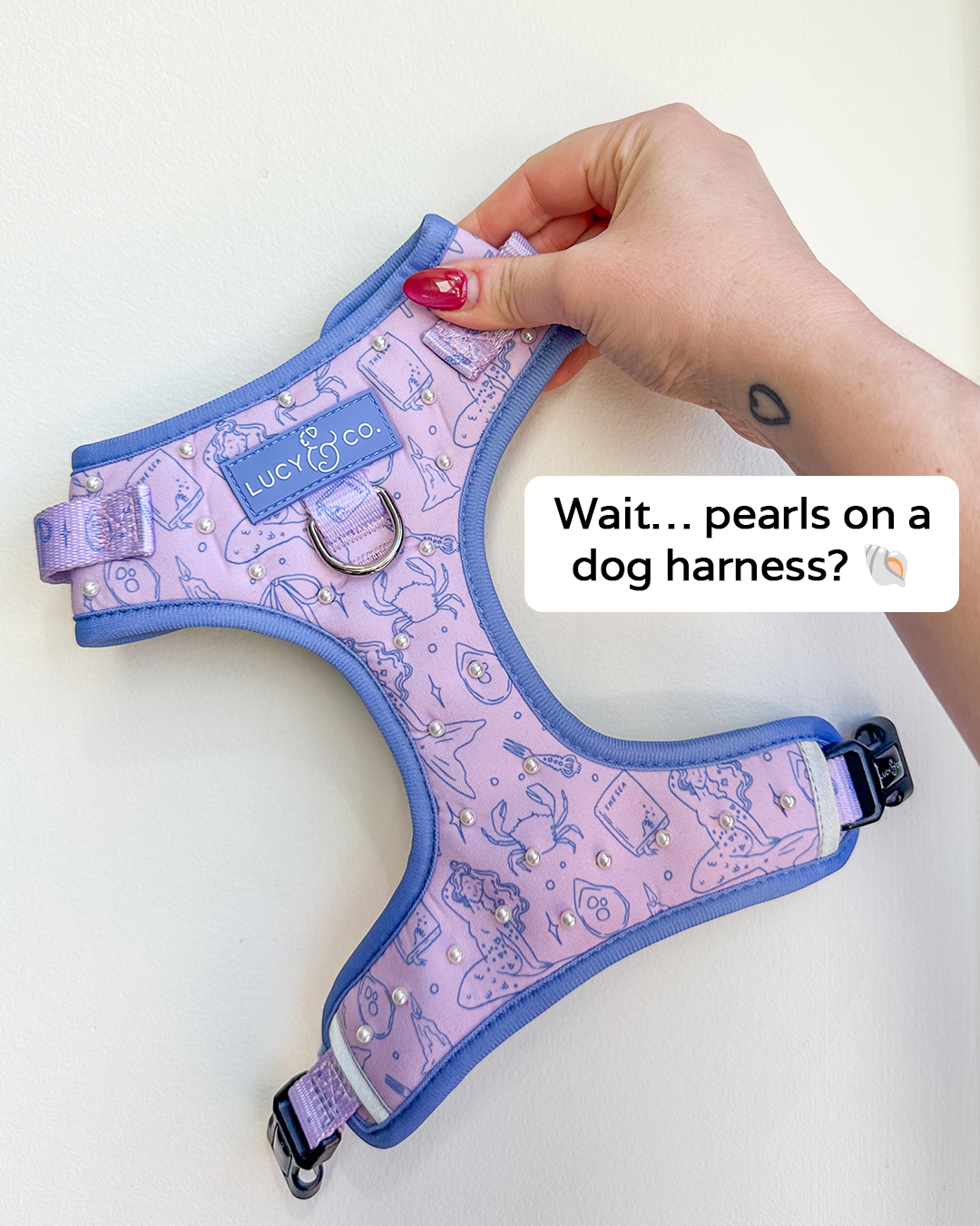 Lucy & Co. Facebook ad