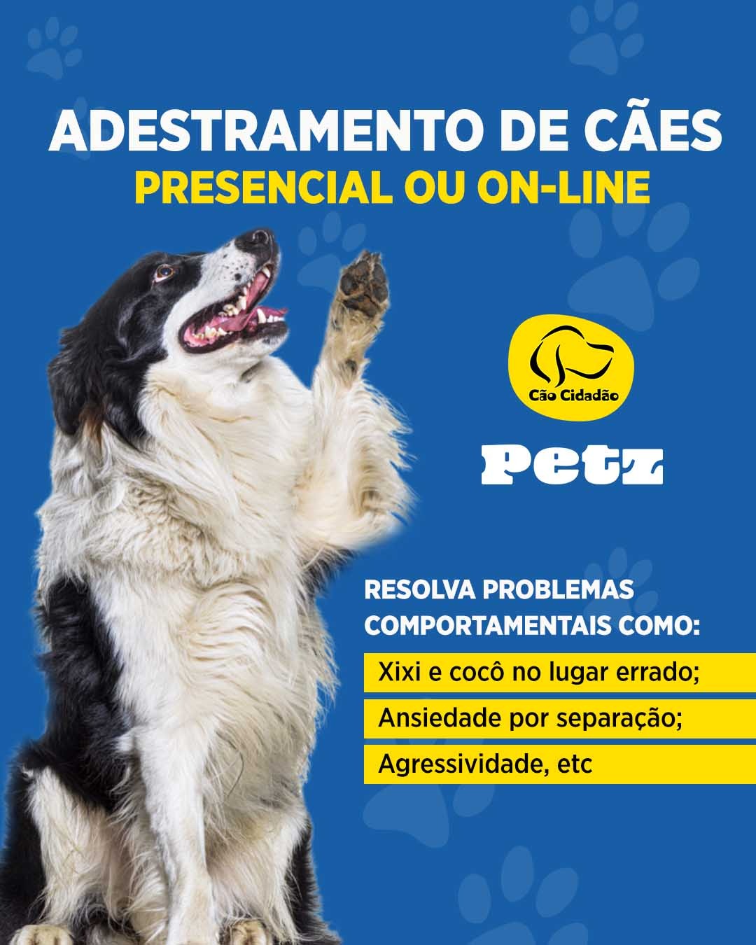 Cão Cidadão Facebook ad: Adestramento de Cães