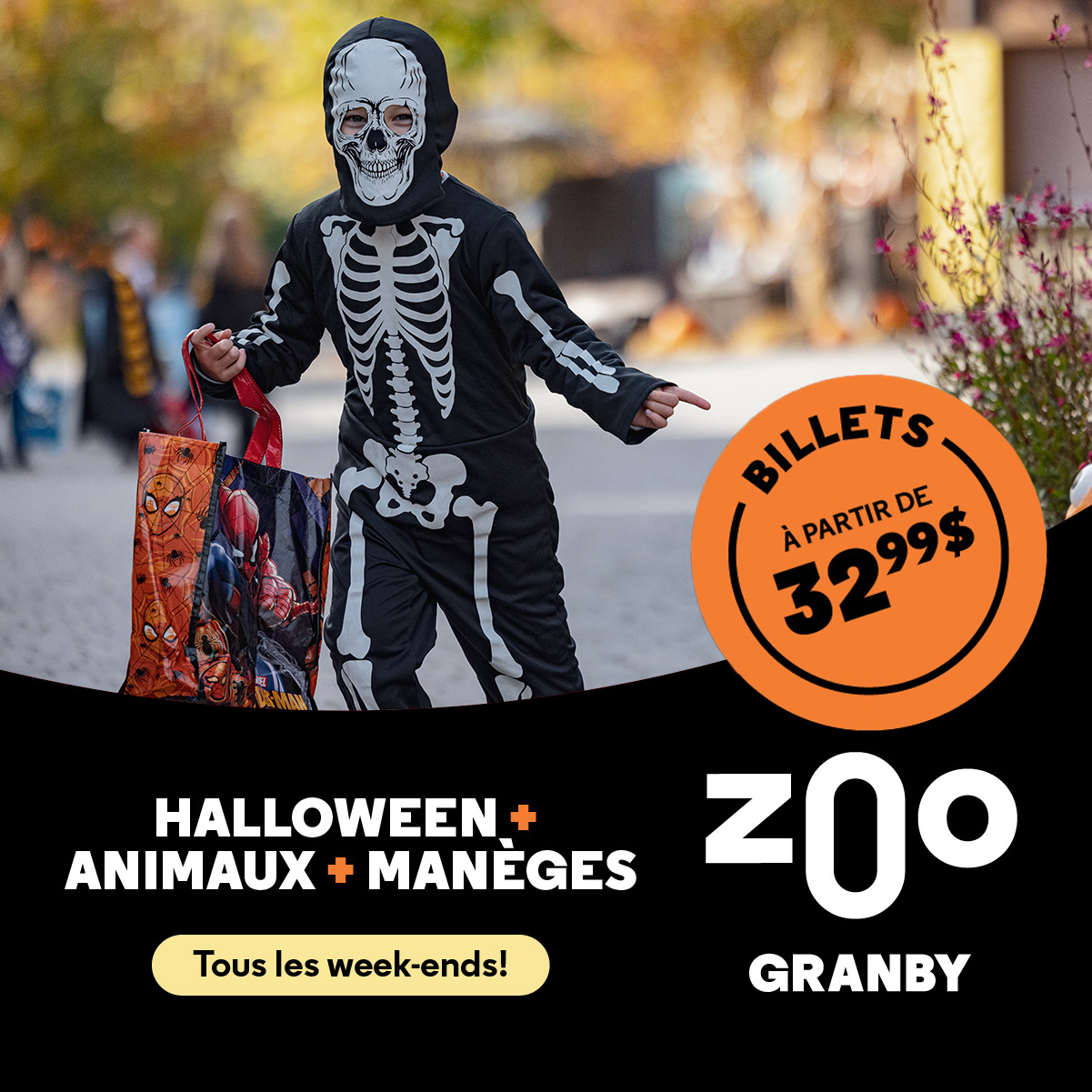Zoo de Granby Facebook ad: Tous les week-ends