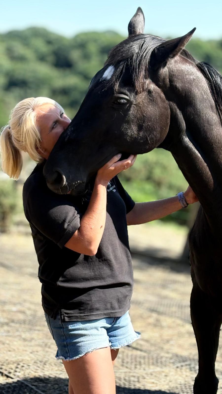 Thoughts and Soul Healing in the presence of horses in nature Facebook ad: Constellations with horses - Gozo, Malta