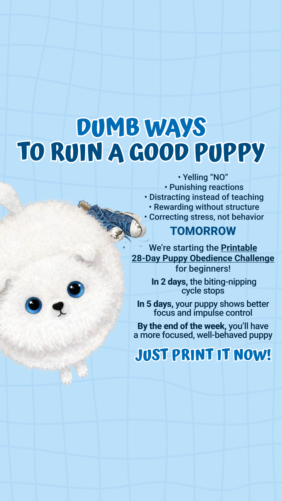 Dog Training & Tips Facebook ad