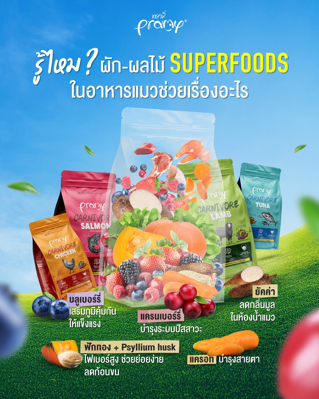 PRAMY อาหารแมวพรามี่ Facebook ad