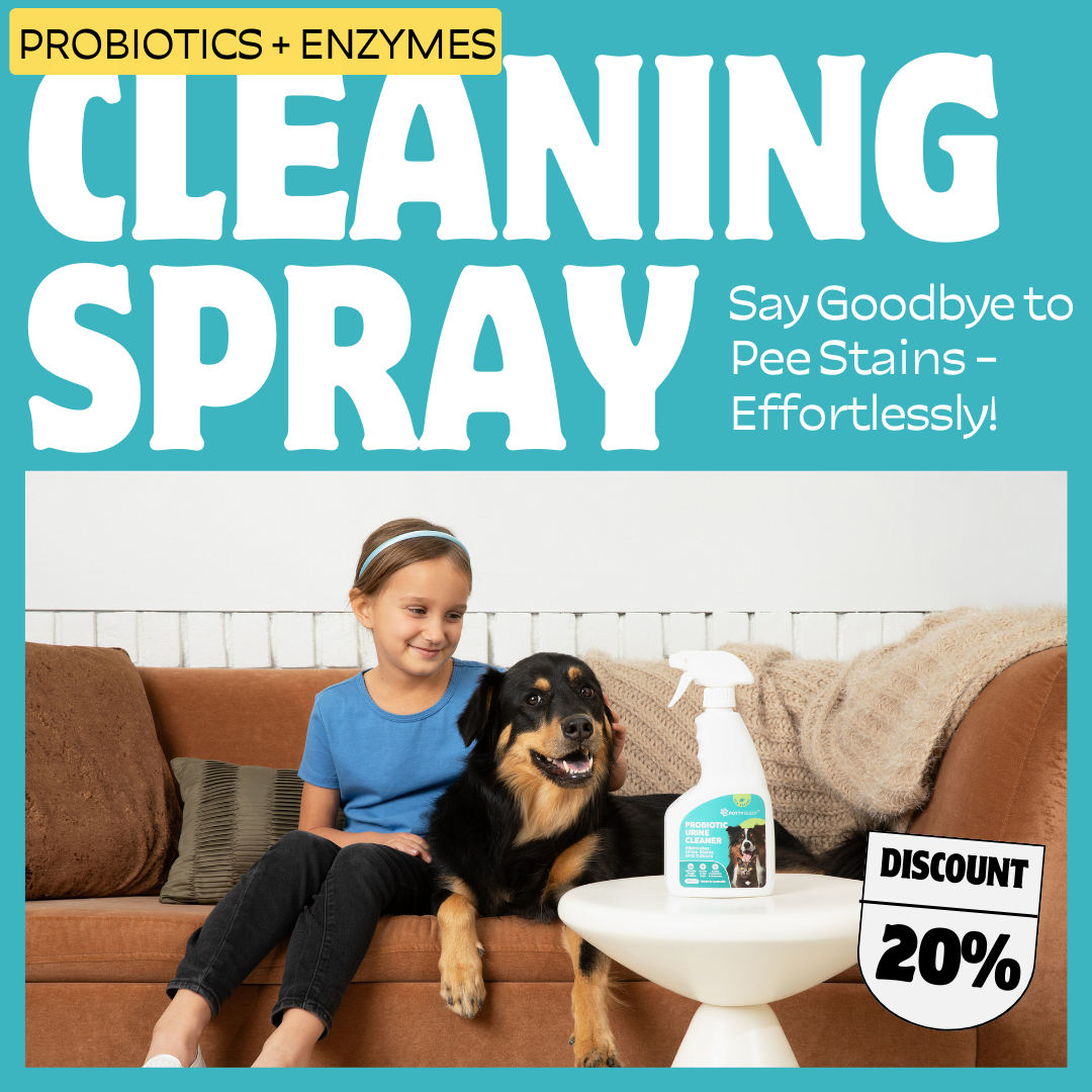 Potty Buddy Facebook ad