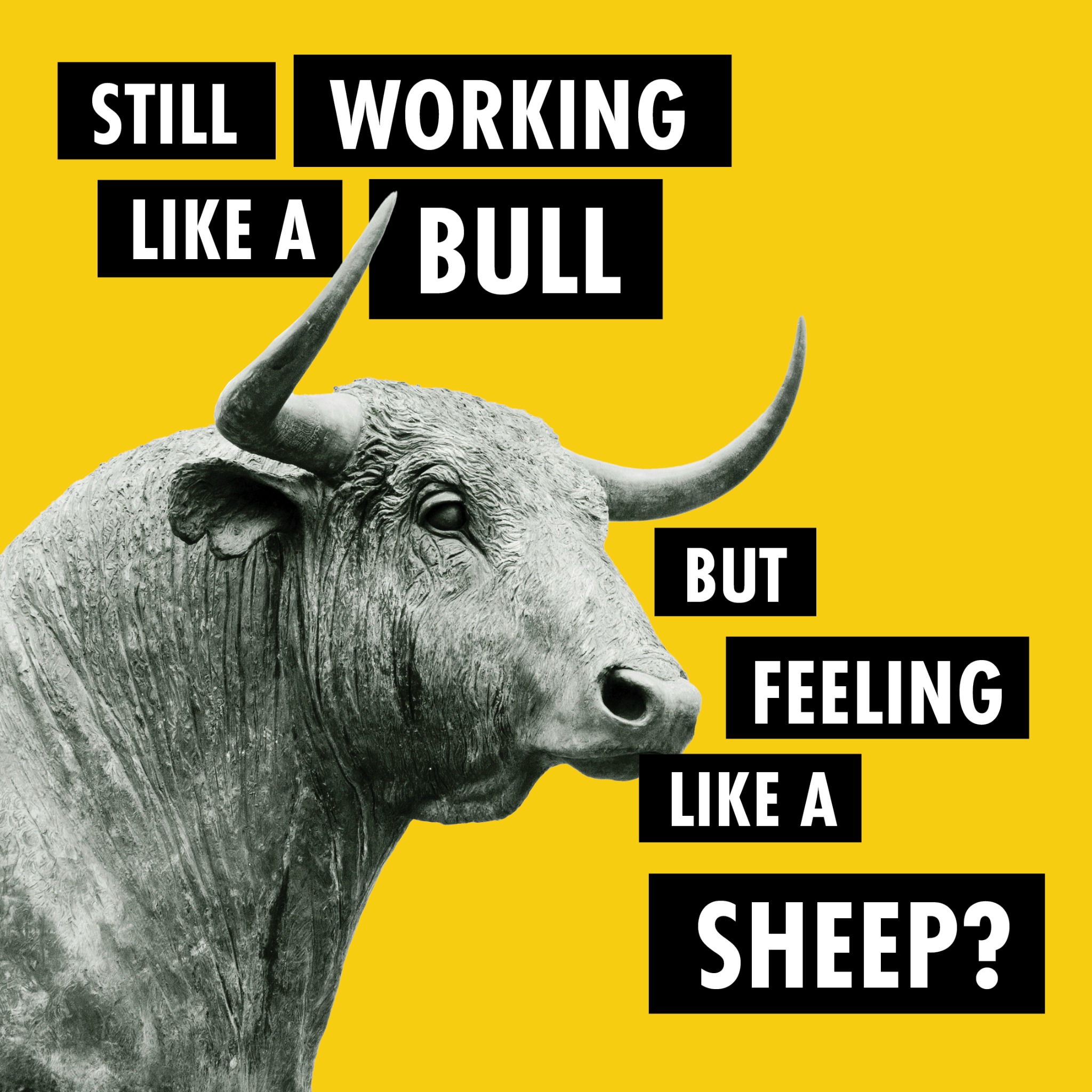 Bio Gold NZ Facebook ad