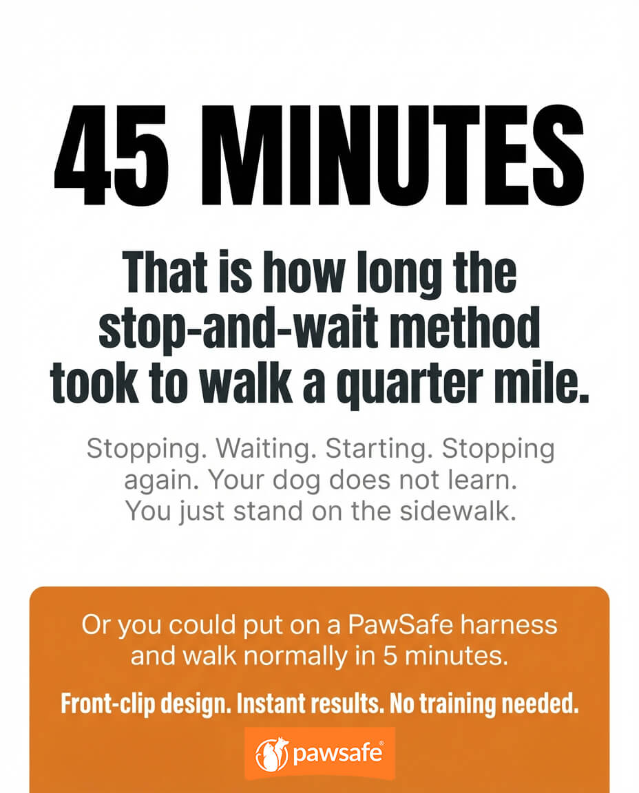 PawSafe Facebook ad