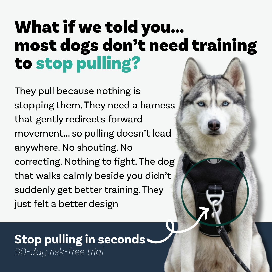 PawSafe Facebook ad