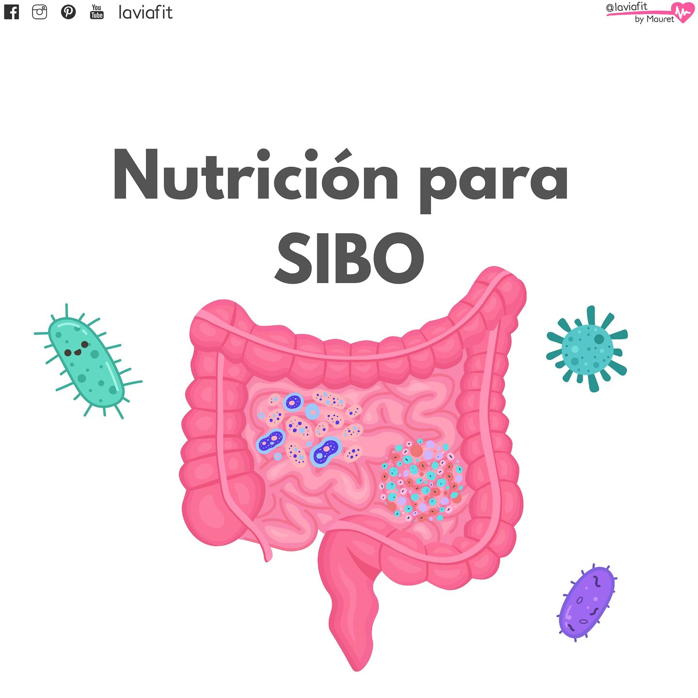 Mauret Rojas / La Vía Fit Facebook ad: SIBO: Una Condición Silenciosa?