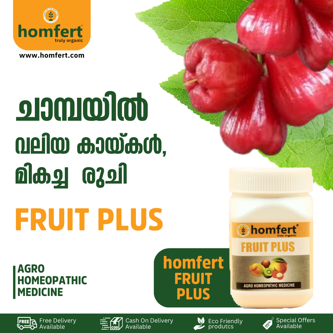 Homfert Facebook ad