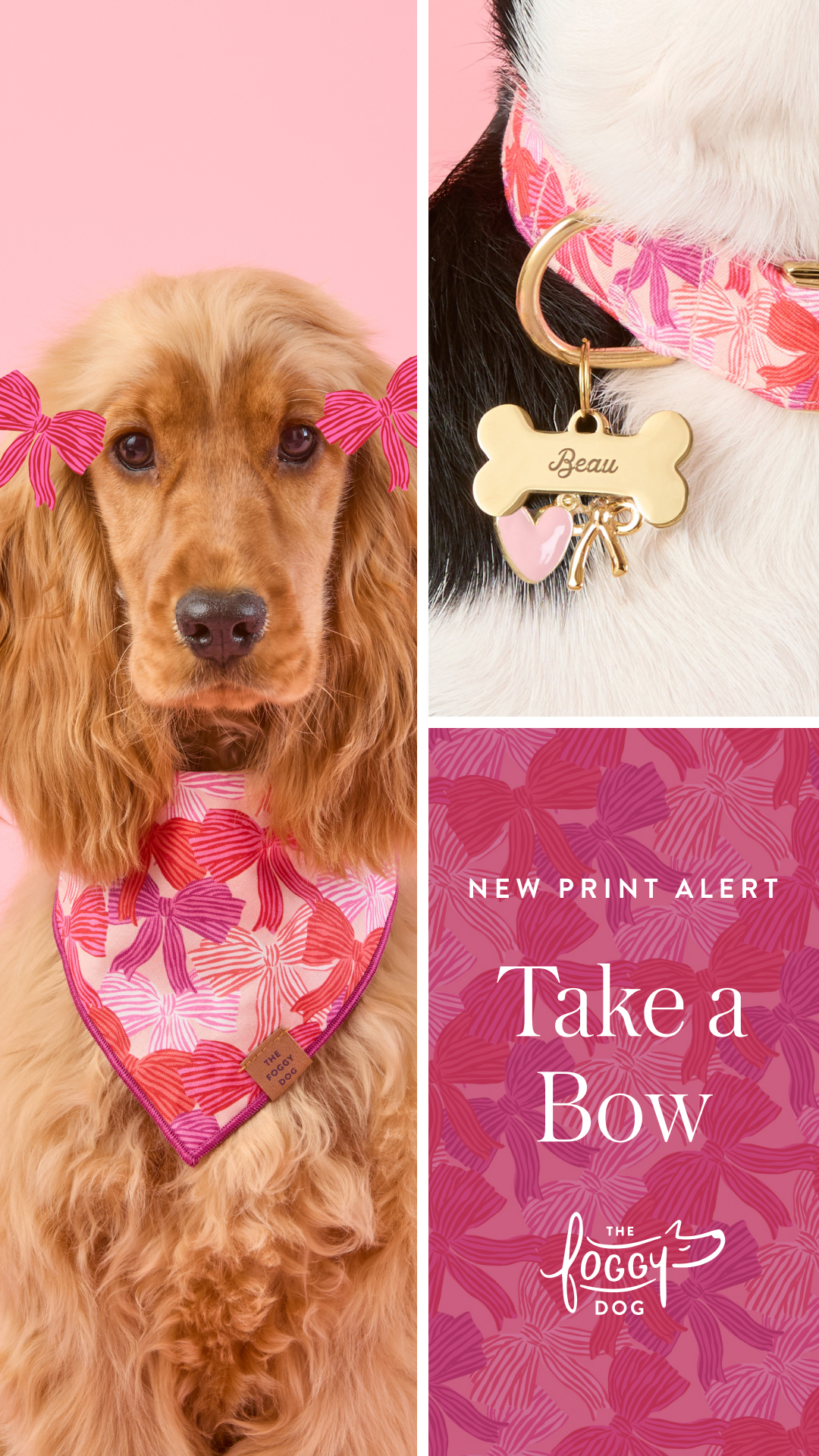 The Foggy Dog Facebook ad