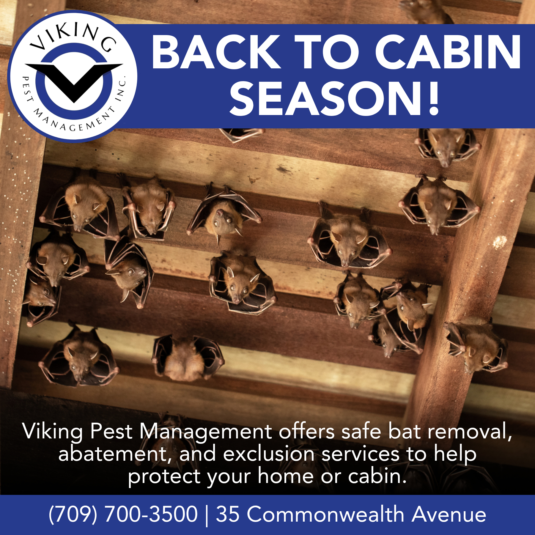 Viking Pest Management Inc. Facebook ad: Back to cabin season