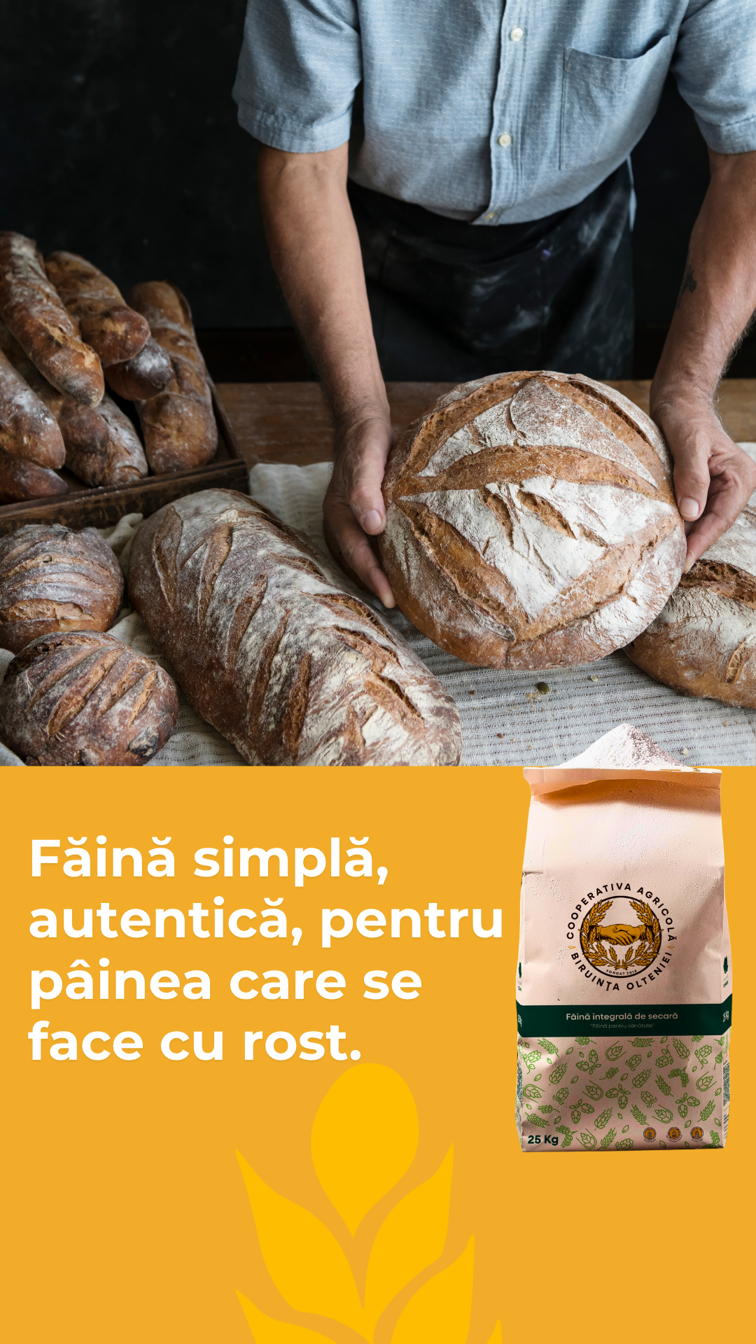 Biruinta Olteniei Cooperativa Agricola Facebook ad from Jul 7, 2025