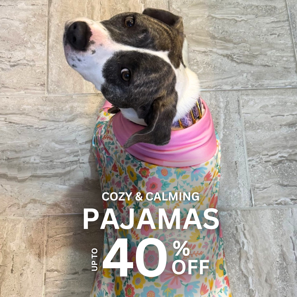 Spark Paws Facebook ad