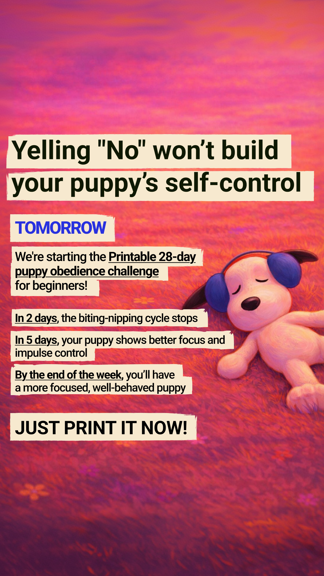 Dog Training & Tips Facebook ad