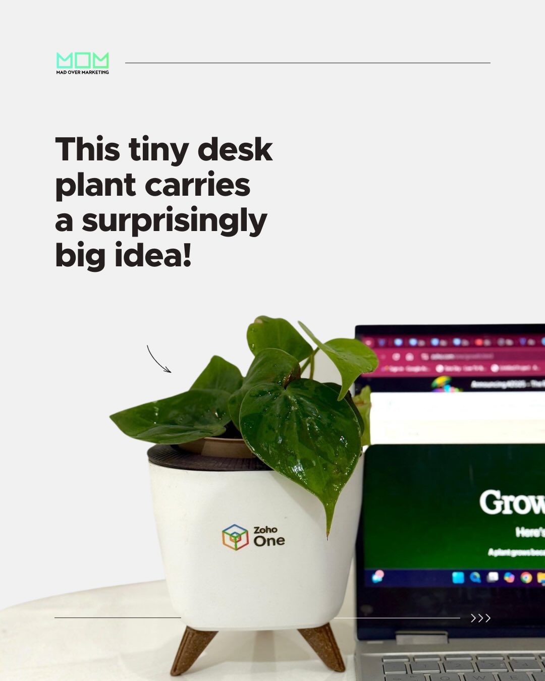 Mad over Marketing (M.O.M) Facebook ad: This B2B campaign showed up as a plant!