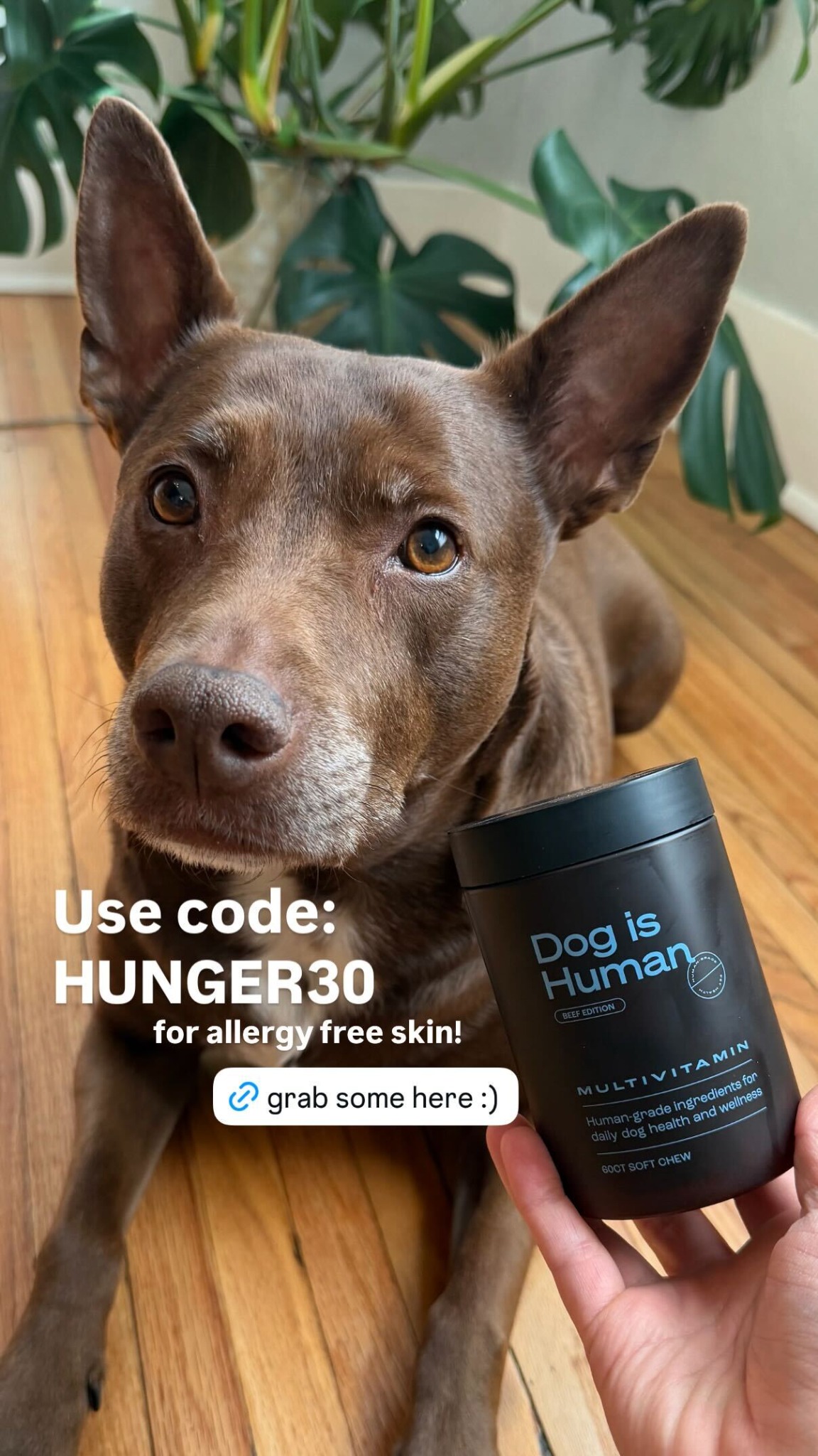 Dog is Human Facebook ad