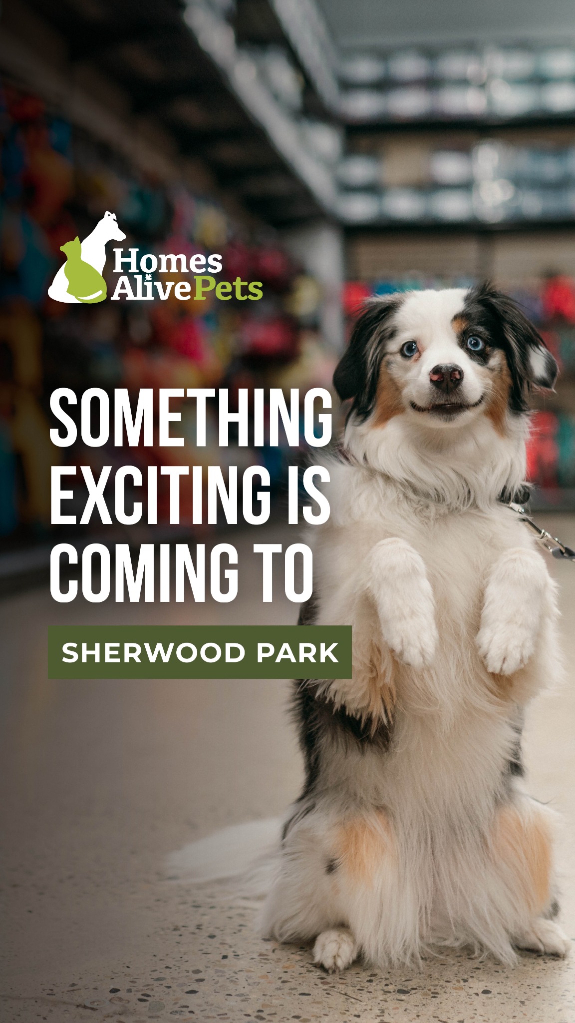 Homes Alive Pets Facebook ad