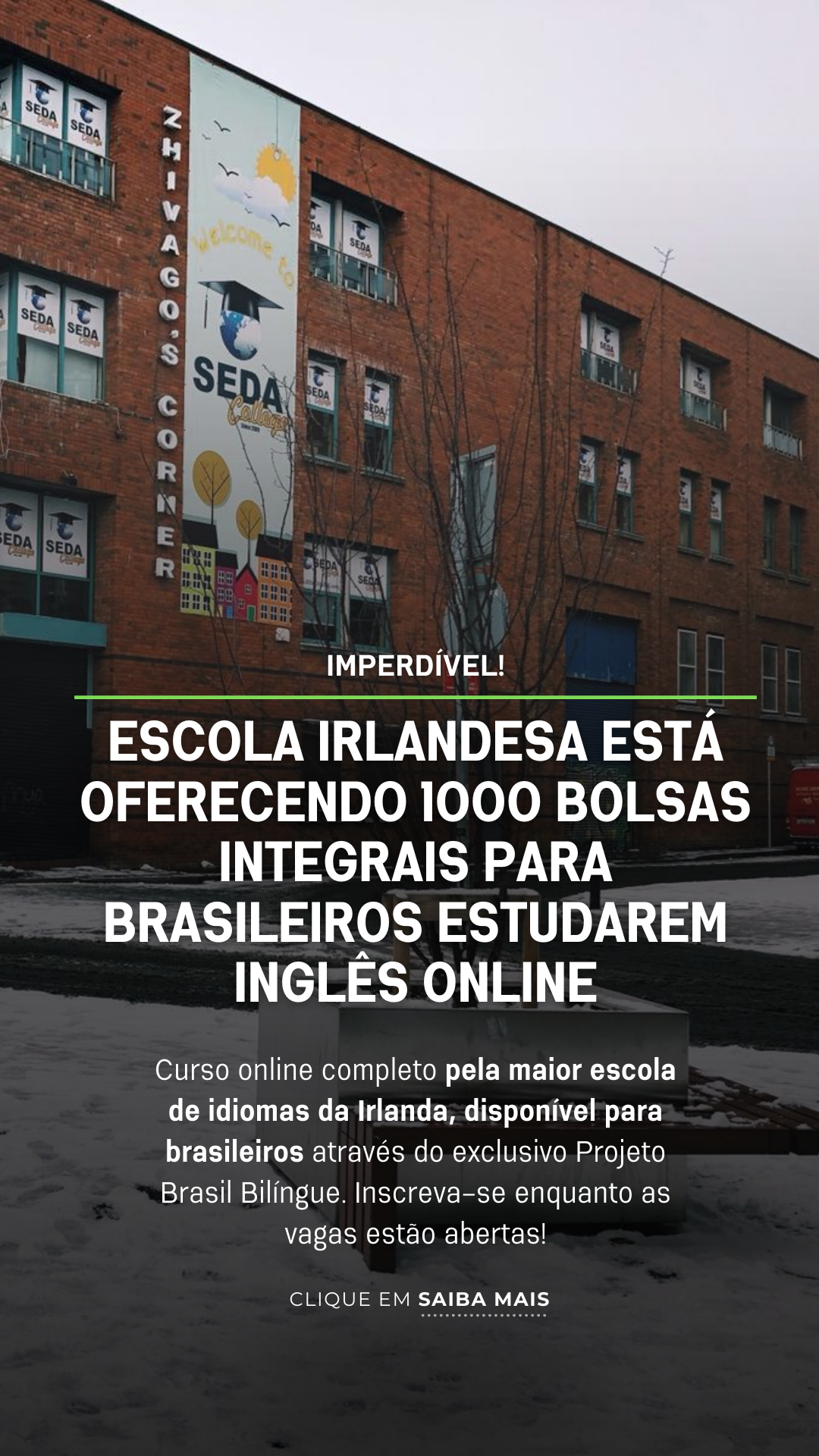 Projeto Brasil Bilíngue Facebook ad from Nov 12, 2024
