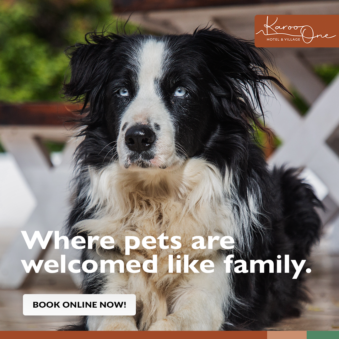 Karoo 1 Hotel & Village Facebook ad: Bring them with!