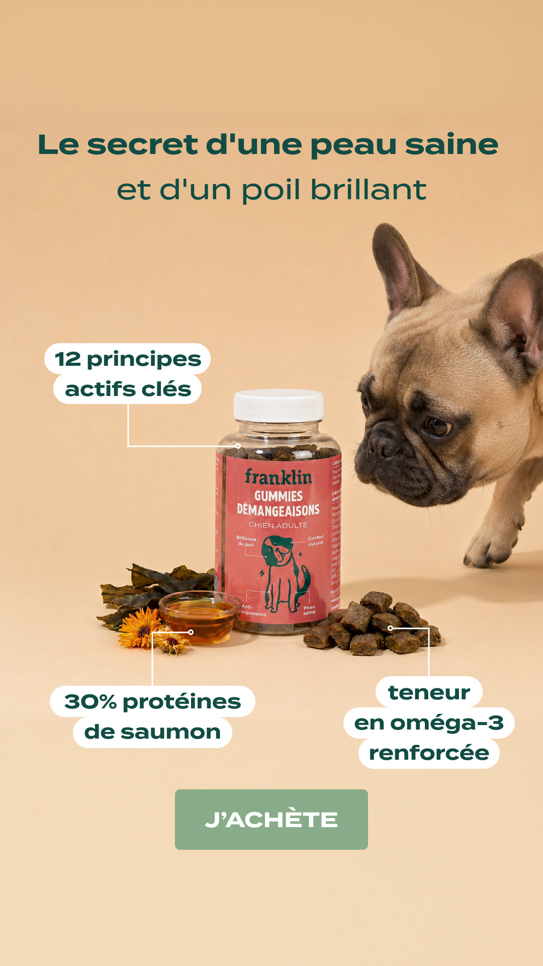 Franklin Pet Food Facebook ad