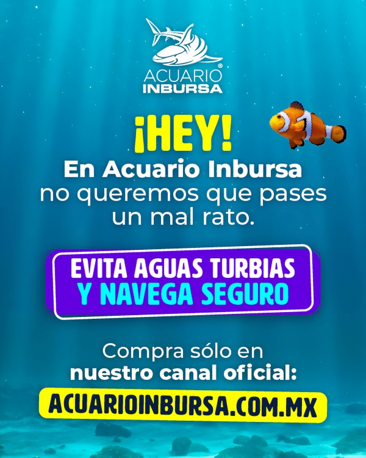 Acuario Inbursa Facebook ad: ¡Atención marineros! Hemos visto que en el mar…