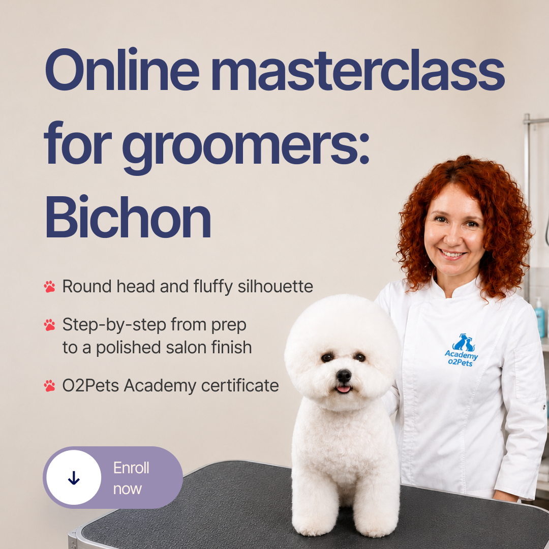 O2Pets Academy Facebook ad: Master the art of precision grooming