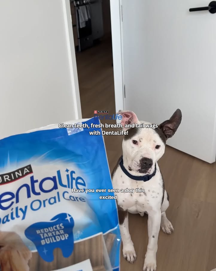 DentaLife Facebook ad: Try DentaLife Dog Treats