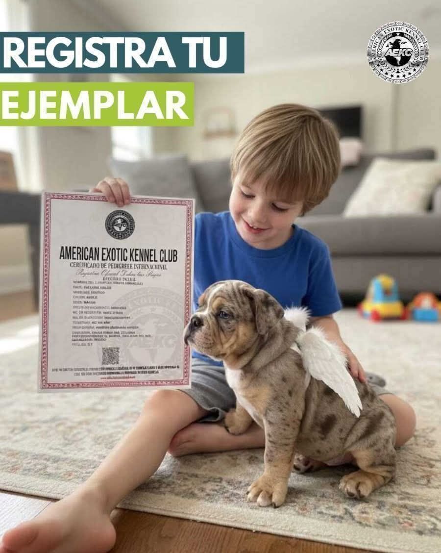 American Exotic Kennel Club Facebook ad: πππ ππ ππ πππ½ππ πΌ ππ πππππππ