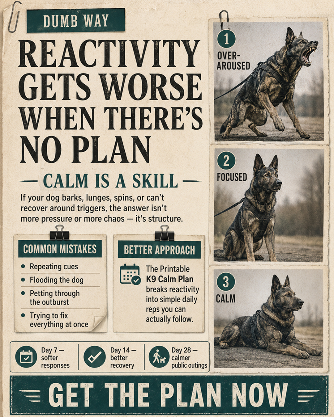 1st Dog Training Club Facebook ad