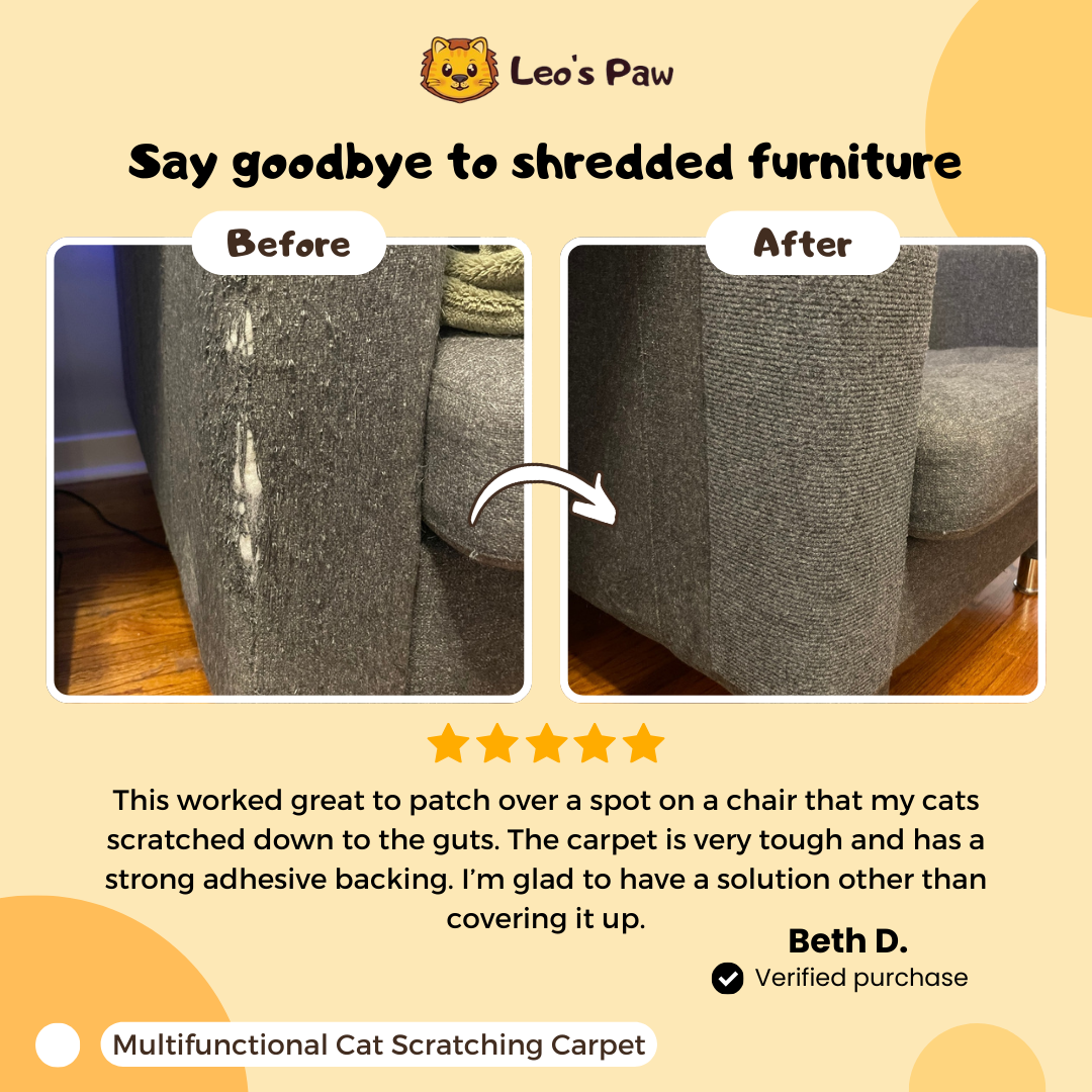 Leo's Paw Facebook ad