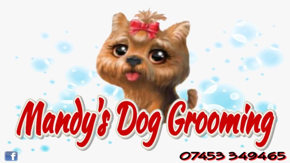 Mandy Chang‘s Dog Grooming Facebook ad: Mandy‘s Dog Grooming